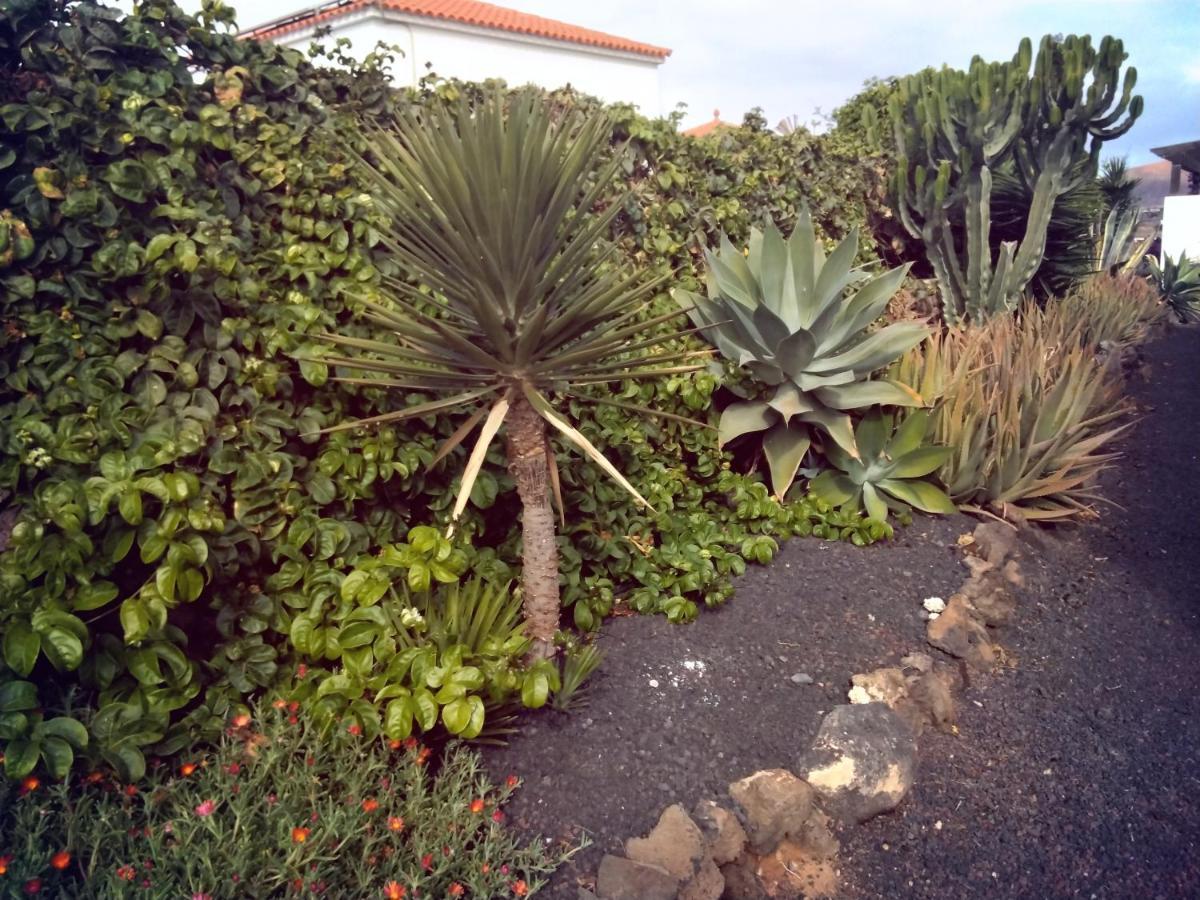 Surfwhitehouse Villa Lajares Bagian luar foto